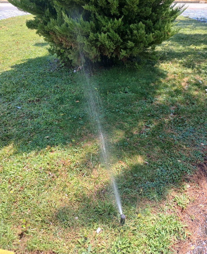 Fıskiyelerin arasına dalmayı sever misiniz?