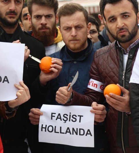 Ortalama zekanın tanımı nedir?
