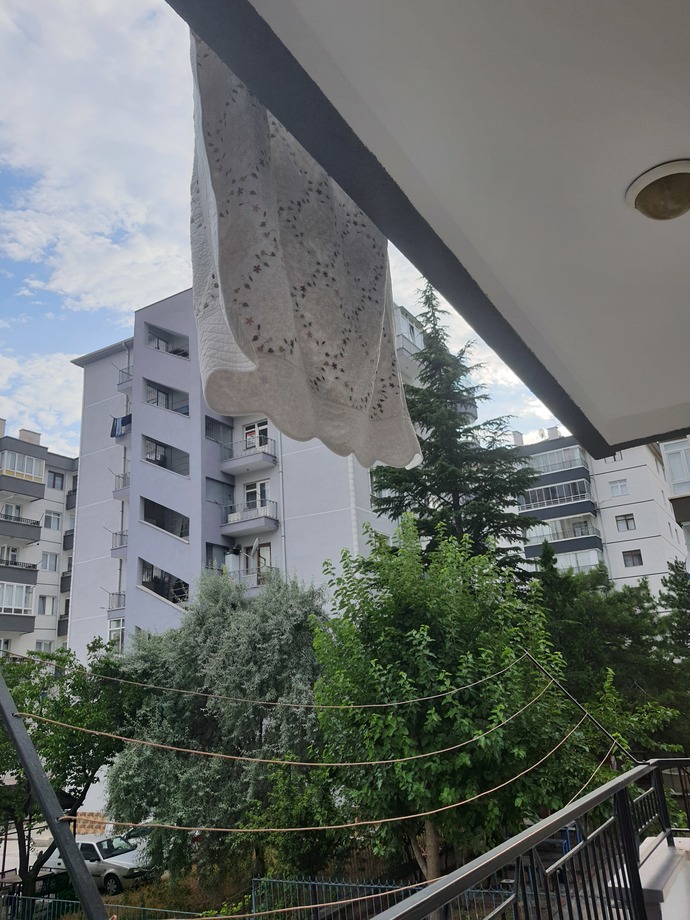 Üst komşunun çamaşırları asış şekli normal mi sizce?