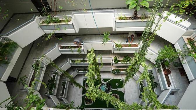 Apartman görevlisi iki kardeş, 30 yıl önce çalışmaya başladıkları apartmanın avlusunu botanik bahçesine dönüştürdü. Nasıl buldunuz?