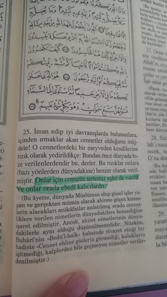 Cennette hem kadın hem erkeğe mi eş verilir? Evli eşleriyle cennete gitseler de?