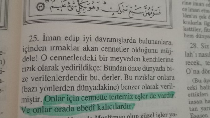 Cennette hem kadın hem erkeğe mi eş verilir? Evli eşleriyle cennete gitseler de?