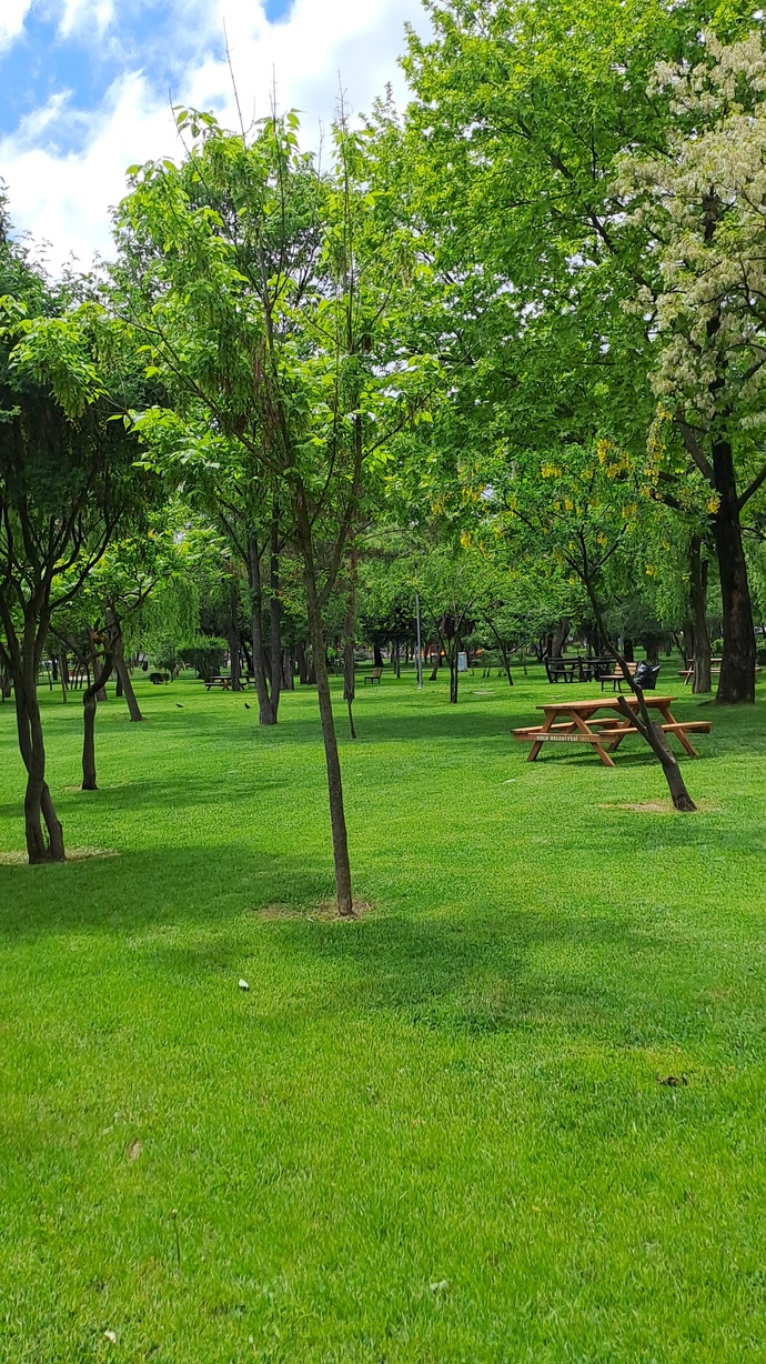 Doğayı kayda almayı sever misiniz?