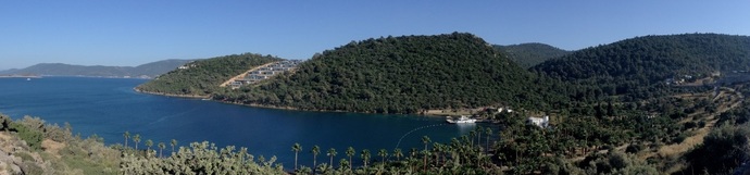 hattat palmiye koyu (mavi&yeşil)