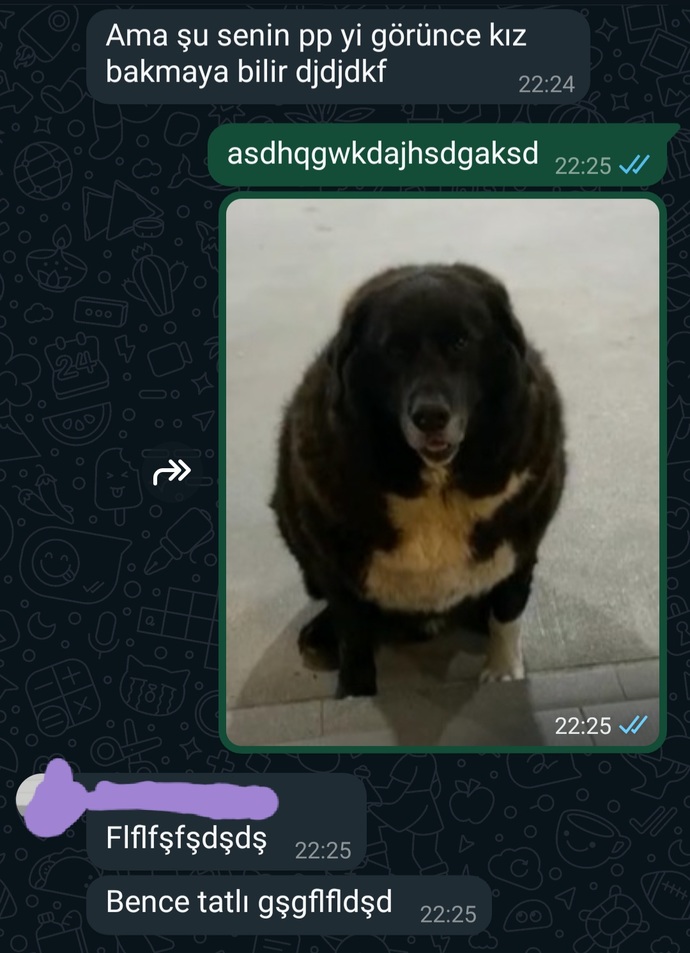 WhatsApp profil resminizde ne var?