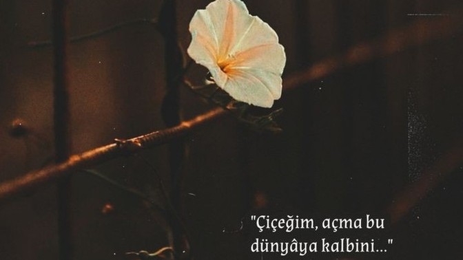 Hangi anılar daha sık hatırlanır iyiler mi, kötüler mi?