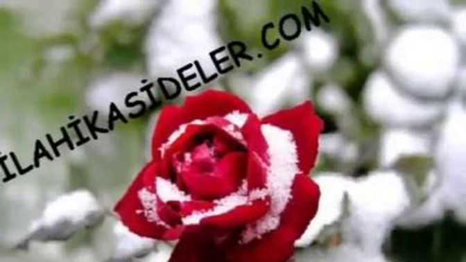 18 yasındayım annemi kaybettim ufak kardeşim var benden daha kötü durumda olan var mı?