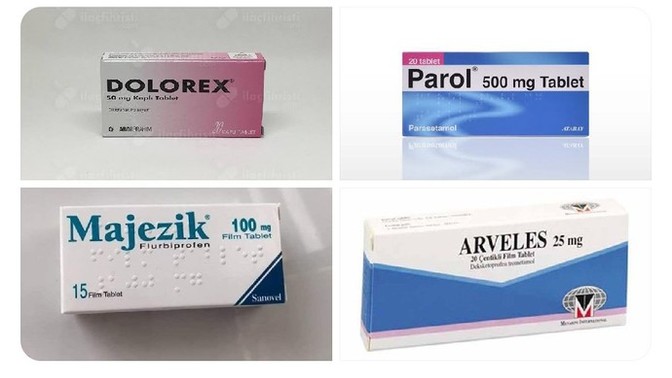 Sizin sadık yariniz hangisi?