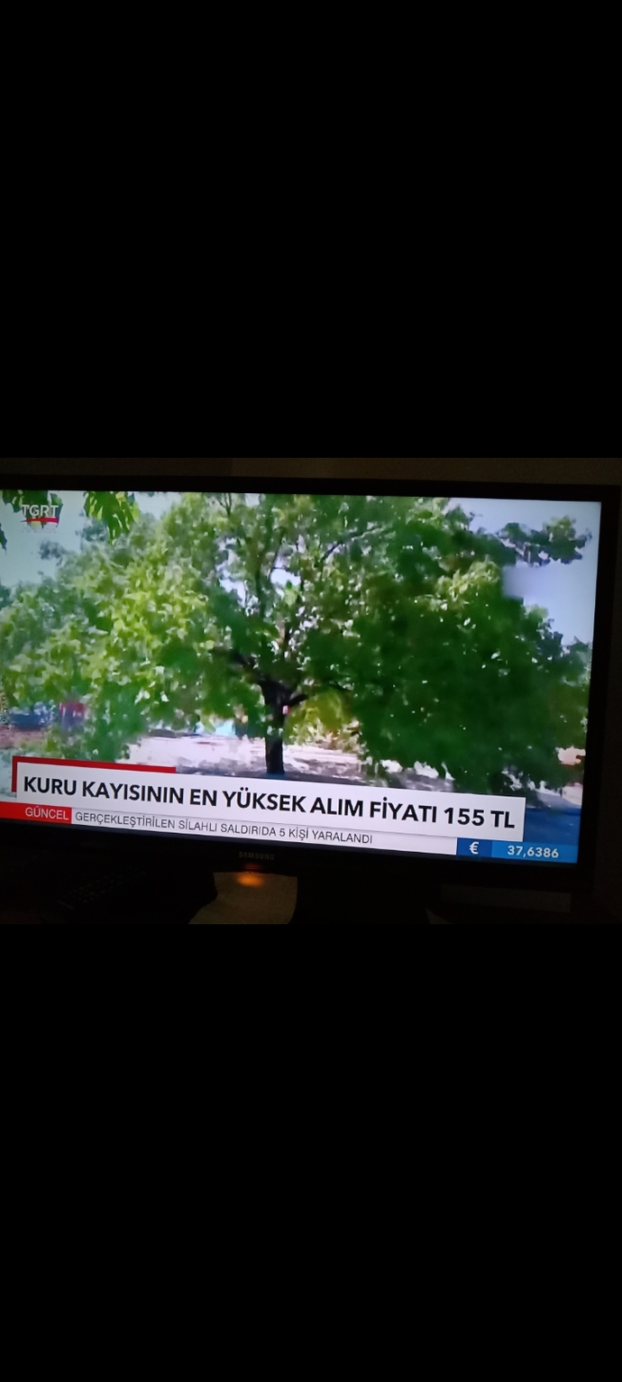 Kayısı sezonu açıldı nasılım?