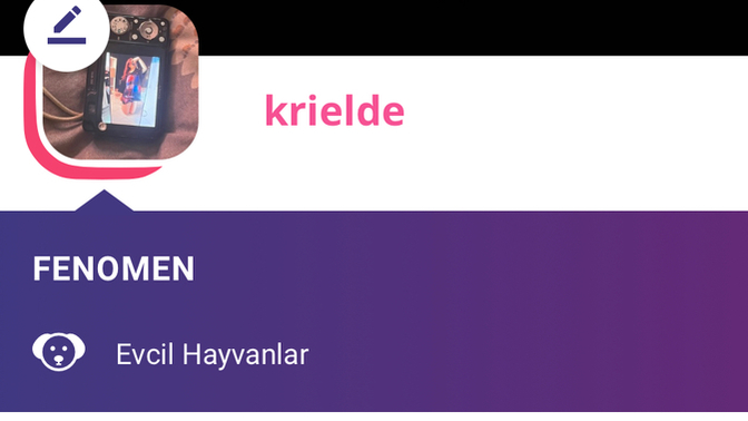 Evcil Hayvanlar kategorisinde Fenomenlik rozetini aldım, hayvanlarla ilgili ne tür sorular veya benceler görmek istersin?