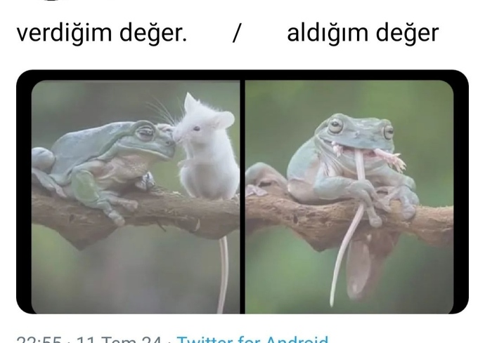 Şu sitede her kesin en iyi gününde yanında oldum, kötü gününde kimse umrumda olmadı böyle mi biliyorsunuz kiymetimi🤭🤭?