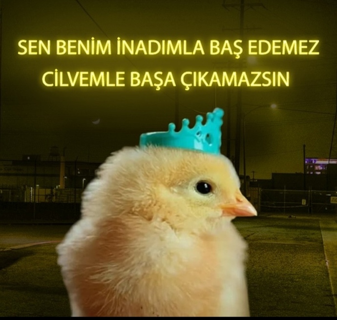 Görselini en iyi ifade eden kısa notunu buraya ekleyebilirsin