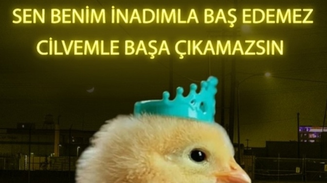 Sizin nelerinizle başa çıkılamaz?
