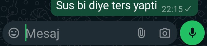 Eşiniz size sus bi dese ne yapardınız? Boşanmalı mıyım?