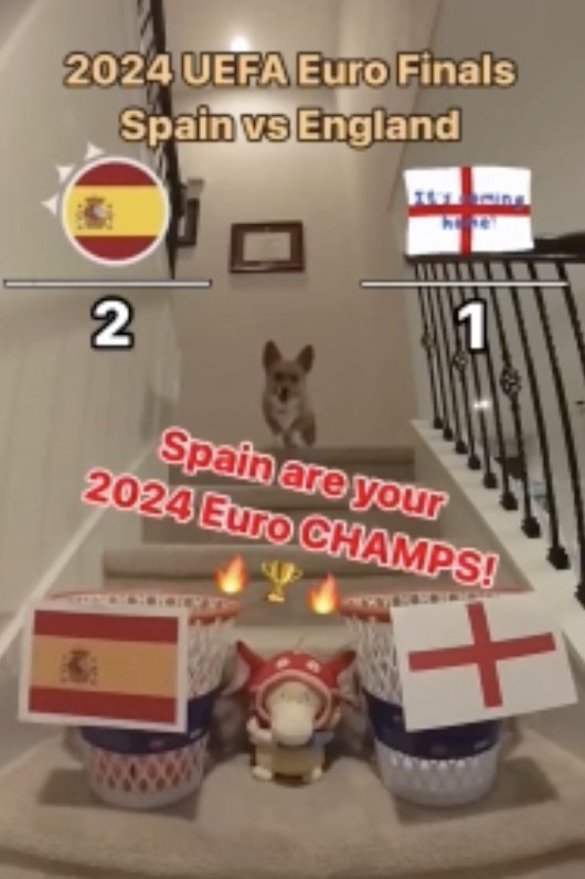 Yaptığı doğru maç tahminleriyle ünlenen köpek, EURO 2024 finalinde İspanyanın şampiyon olacağını tahmin etti. Sizce sonuç ne olur?