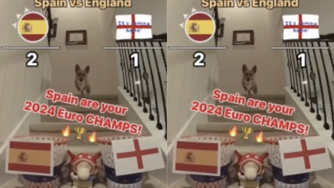 Yaptığı doğru maç tahminleriyle ünlenen köpek, EURO 2024 finalinde İspanya'nın şampiyon olacağını tahmin etti. Sizce sonuç ne olur?