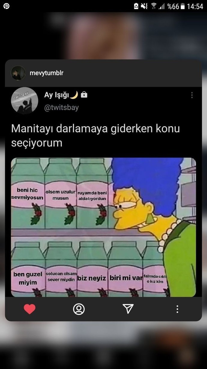Sevgiliniz ile tartışmaya girmek size de eğlenceli gelmiyor mu?