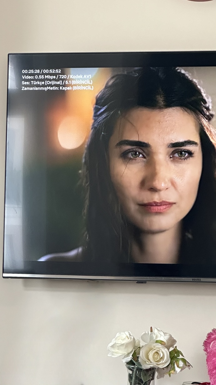 Netflixte yazıları kaldırma?