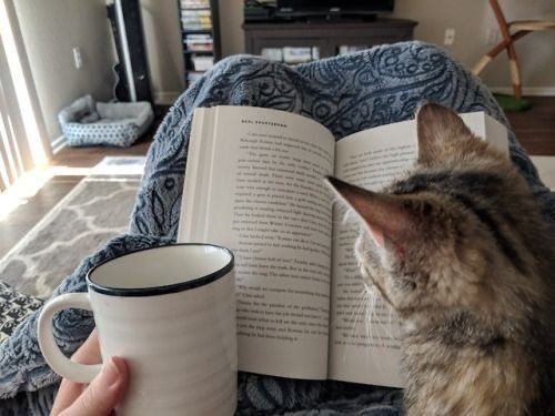 Kitap okurken şarkı dinleye bilir misiniz?