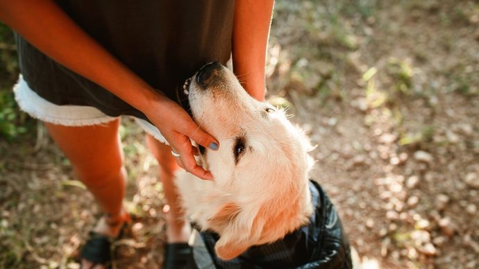 Köpeklerin en sevdiğiniz özelliği nedir?