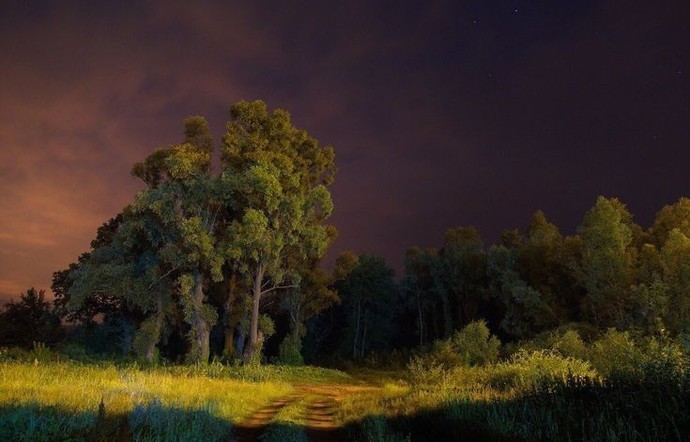 Sizi bir ormanın ortasına bıraksak, kaç gün yaşarsınız🌲?