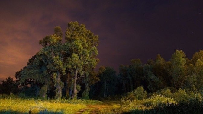 Sizi bir ormanın ortasına bıraksak, kaç gün yaşarsınız🌲?