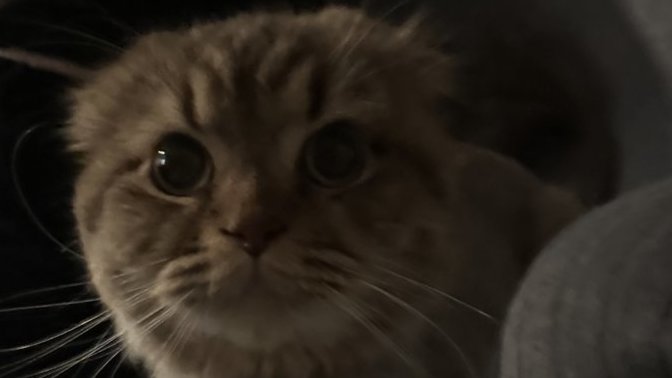 Sizi yıkan o cümle neydi?