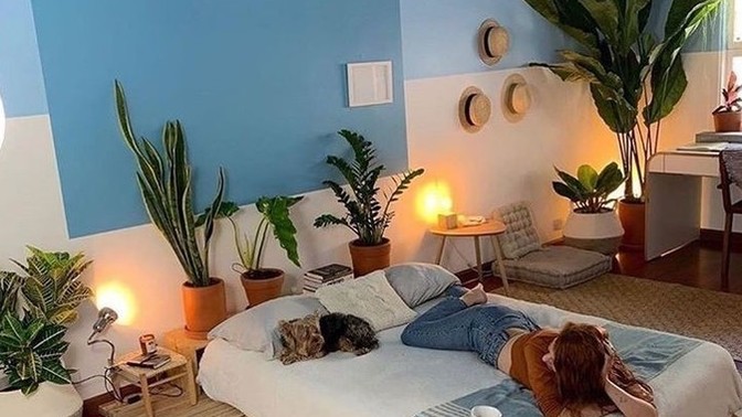 Evinizde hangi renk ışığı tercih ediyorsunuz?