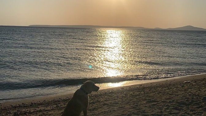 Gün batımının büyüsüne kapılır mısınız?