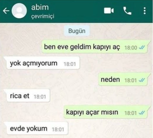 Kızkardeşini zorbalamayan abi hayal ürünü müdür?