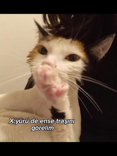 Şimdi "olsa ne güzel olurdu" dediğiniz bir şey var mı?