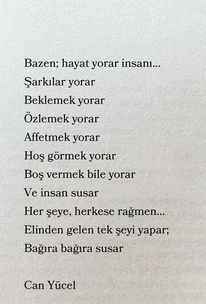🌜