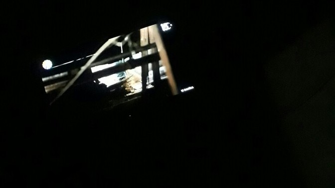 Film izliyor musunuz?
