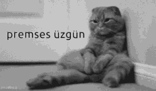 Madem bir şeylerin değişeceği yok büyüyelim o zaman artık di mi?