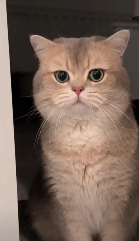 Benim Bebeğim Çok Tatlı Değil mi😻?