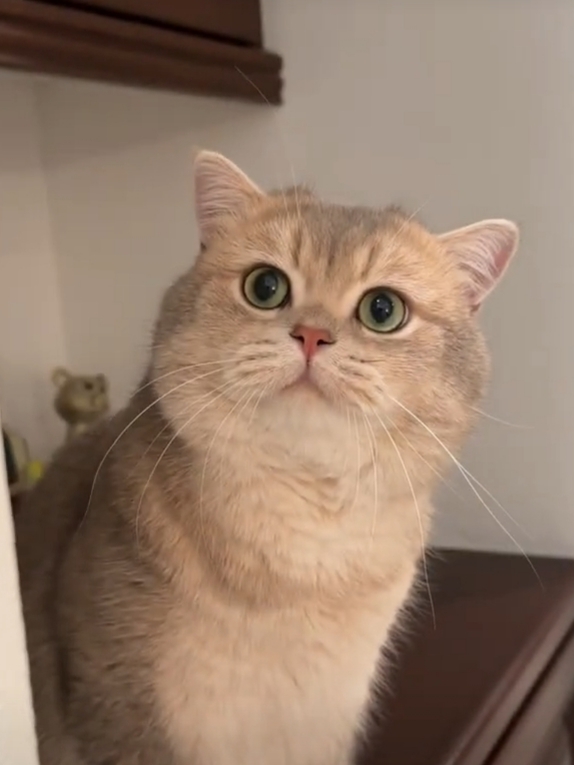 Benim Bebeğim Çok Tatlı Değil mi😻?