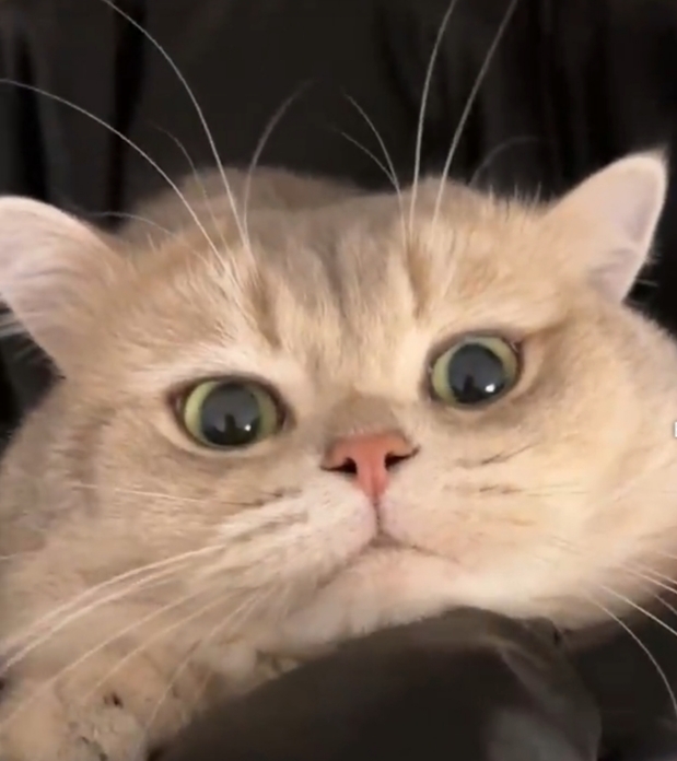 Benim Bebeğim Çok Tatlı Değil mi😻?
