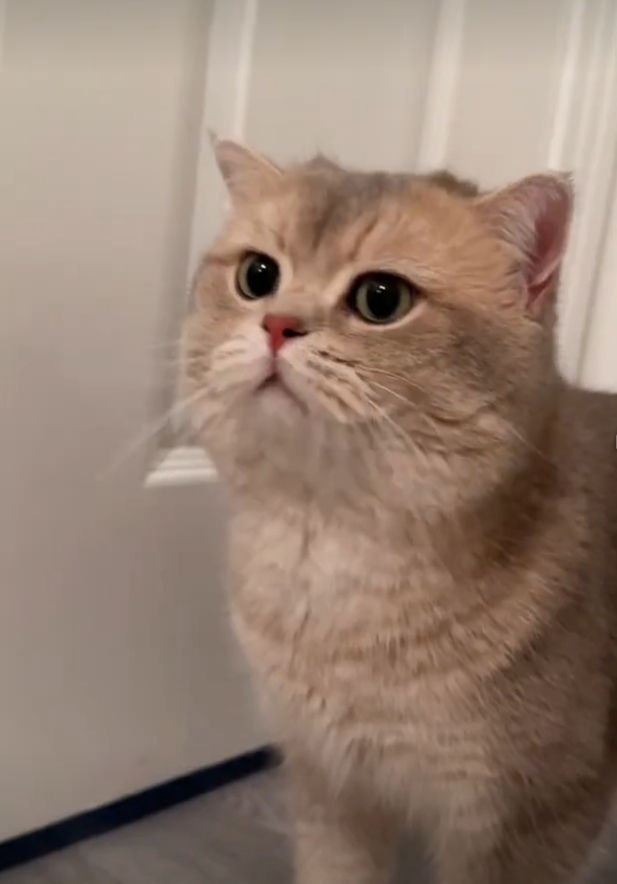 Benim Bebeğim Çok Tatlı Değil mi😻?