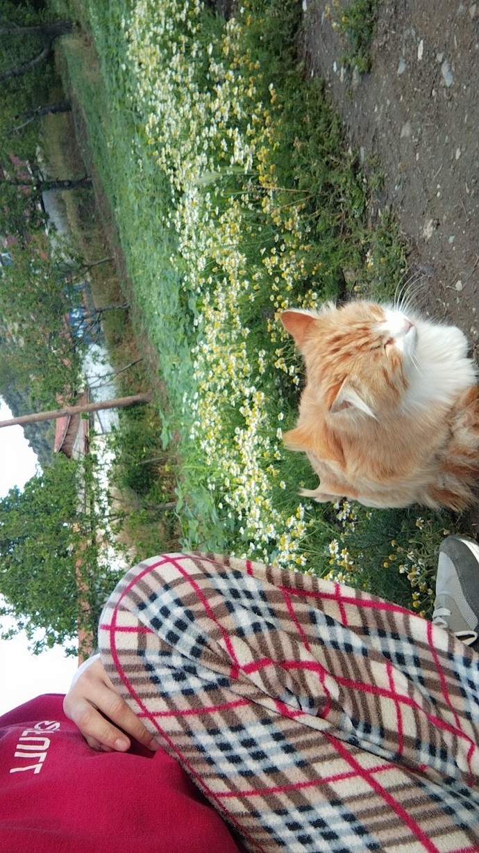 Benim Bebeğim Çok Tatlı Değil mi😻?