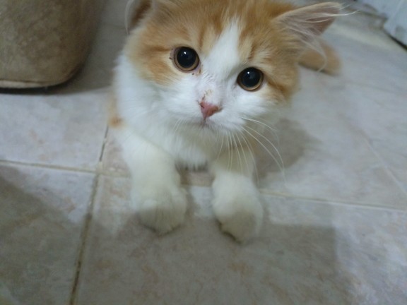 Benim Bebeğim Çok Tatlı Değil mi😻?