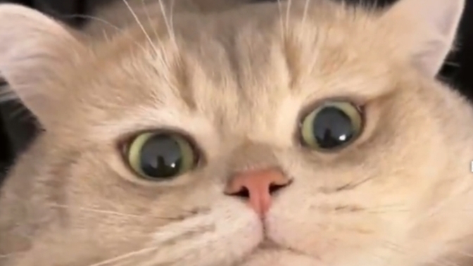 Benim Bebeğim Çok Tatlı Değil mi😻?