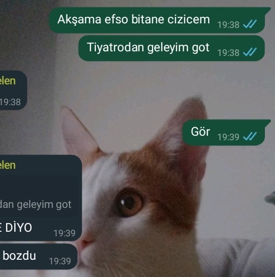Mesaj atarken yazım yanlışı yapar mısınız?