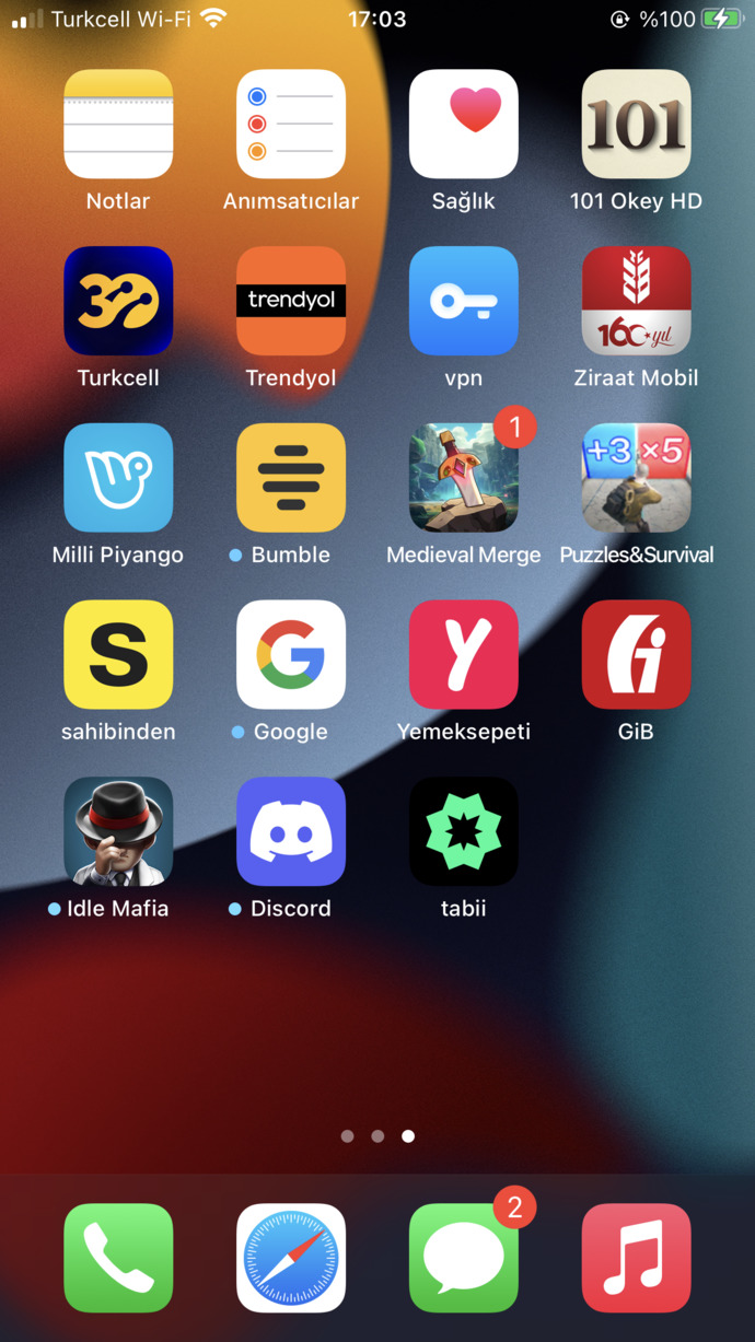 Hangi VPN kullanıyorsunuz?