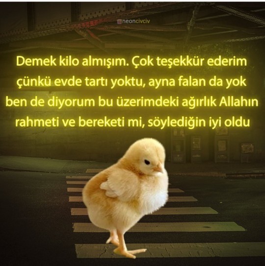 Sizi eleştirenlere tepkiniz ne olur?