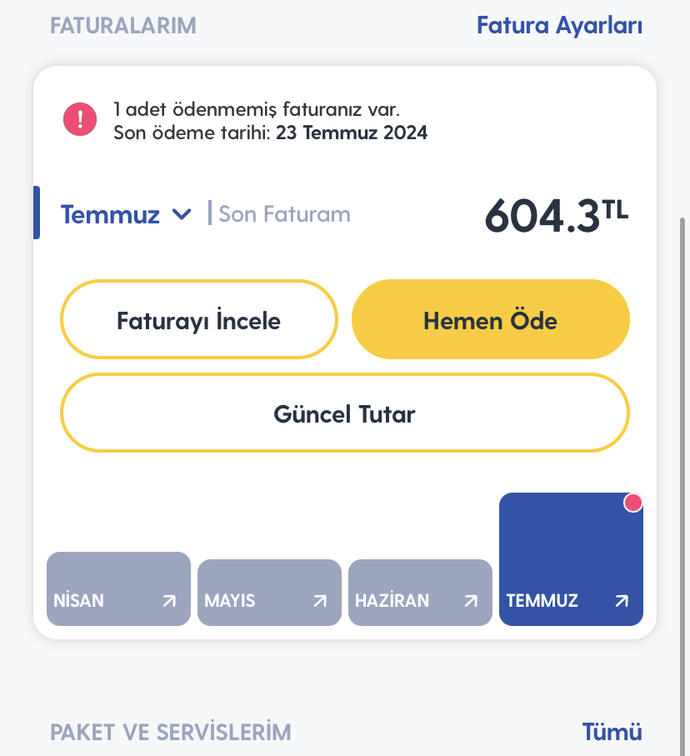 En fazla ne kadar fatura ödediniz?