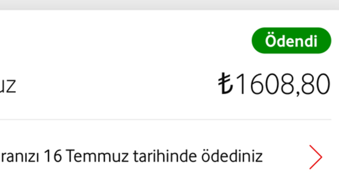 En fazla ne kadar fatura ödediniz?