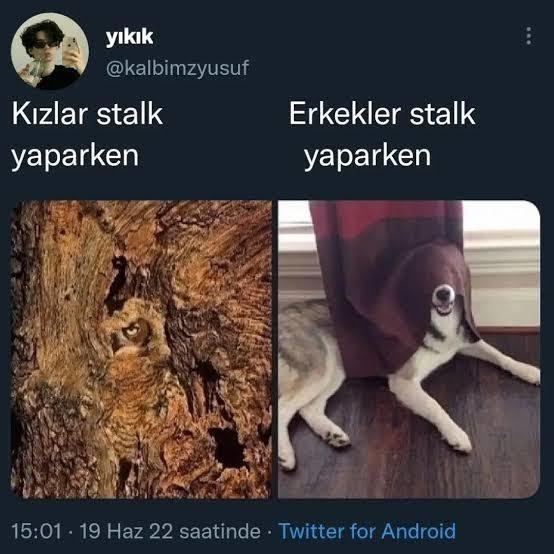Erkekler mi daha iyi stalk yapıyor yoksa kızlar mı?