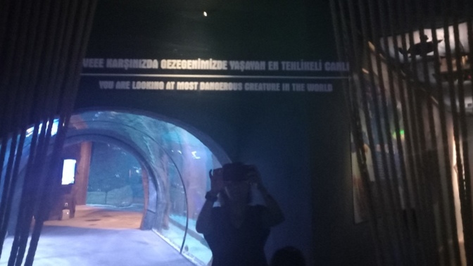 Yeryüzünde ki en tehlikeli canlı türü hangisidir?