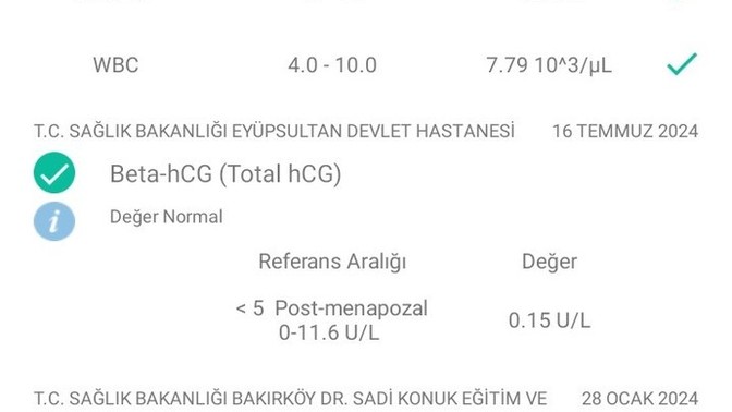 Hamile miyim sizce beta hcg hormonuma bakar mısınız?