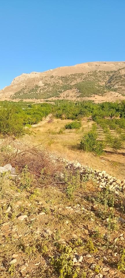 Şöyle bir sevgilim olabilir mi?